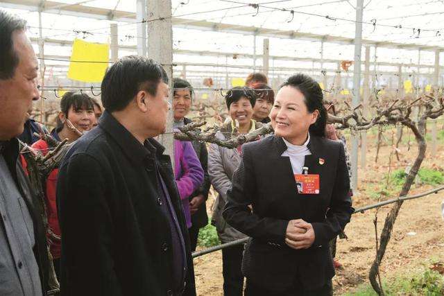 崔荣华.jpeg 崔荣华.jpeg